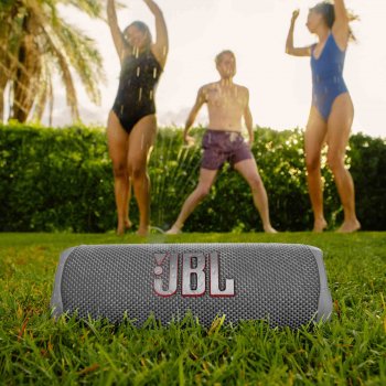 Bluetooth-Lautsprecher JBL Flip 6 bedruckt  grau